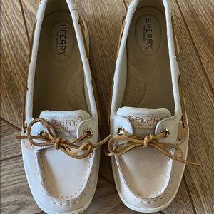 Angelfish Sperry’s